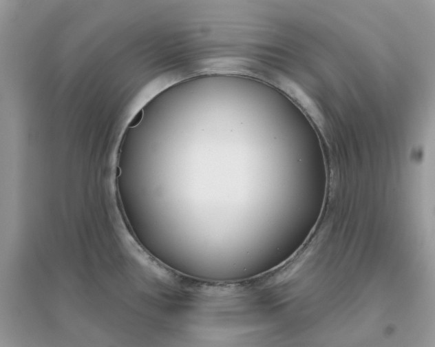 X0000096151386200802011223