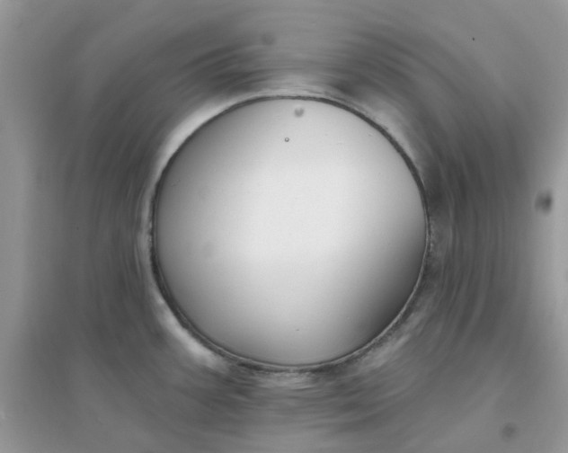 X0000096151387200802011223