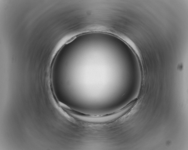 X0000096151389200802011223