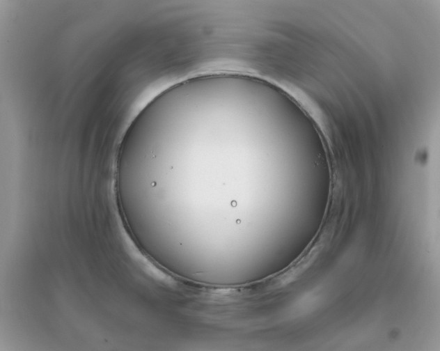 X0000096151390200802011223