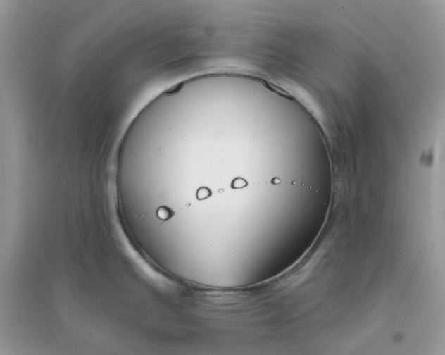 X0000096151391200802011223
