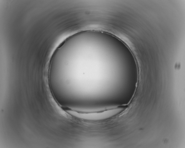 X0000096151392200802011223