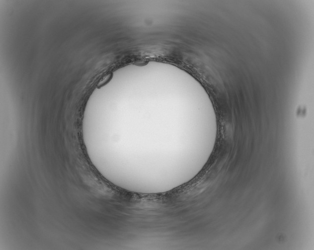 X0000096151393200802011222