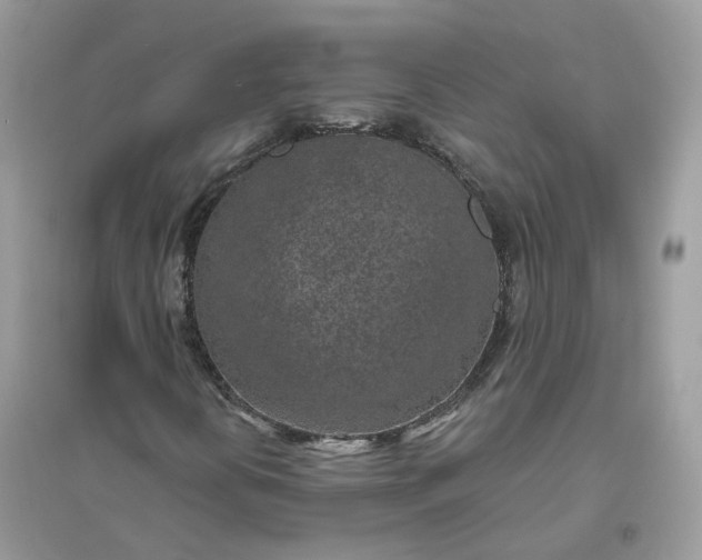 X0000096151394200802011222