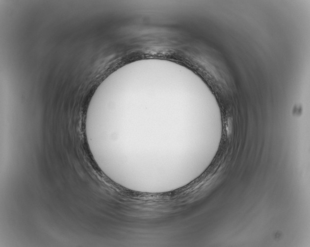 X0000096151396200802011222