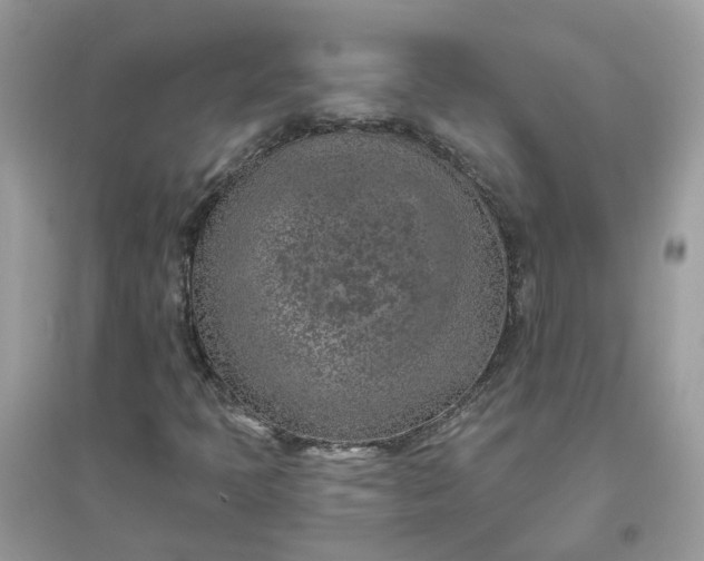 X0000096151397200802011222
