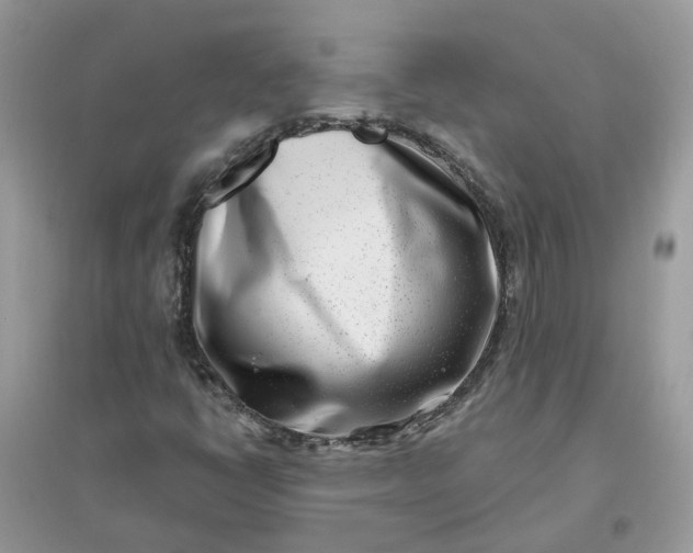 X0000096151398200802011222