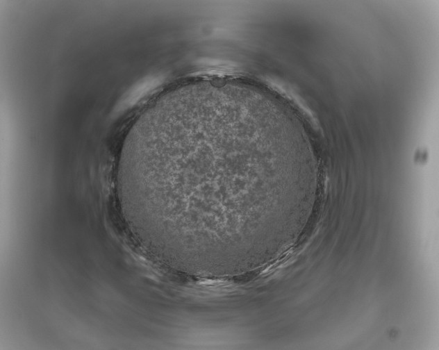 X0000096151399200802011222