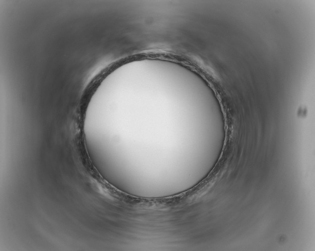 X0000096151400200802011222