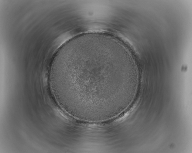 X0000096151401200802011222