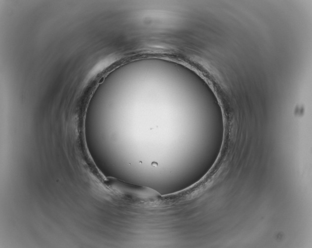 X0000096151402200802011222