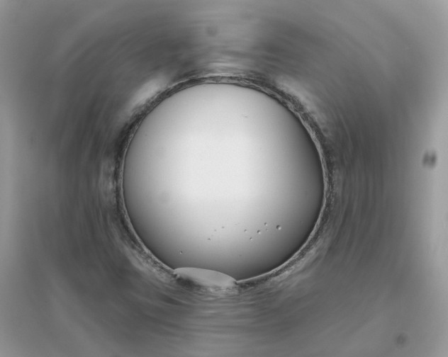 X0000096151403200802011222