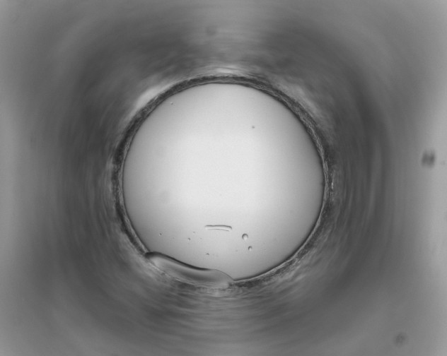 X0000096151404200802011223