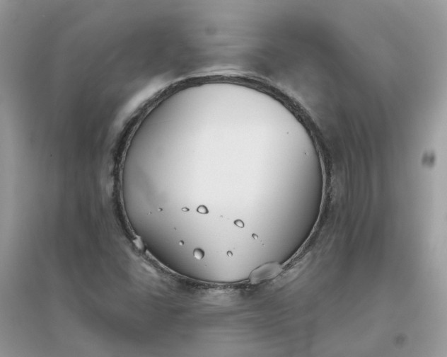 X0000096151406200802011223