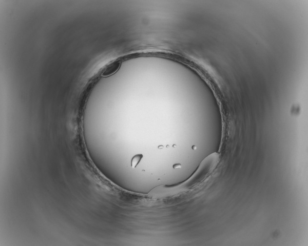 X0000096151407200802011223