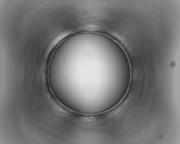 X0000096151410200802011223