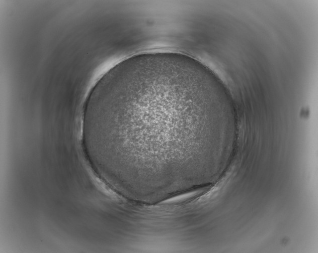 X0000096151413200802011223