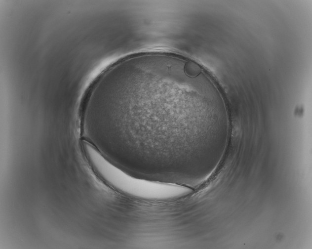 X0000096151414200802011223