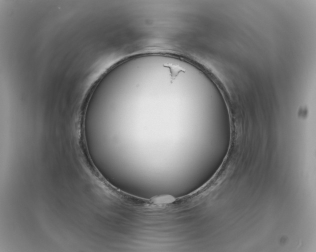 X0000096151415200802011223