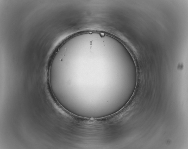 X0000096151416200802011223