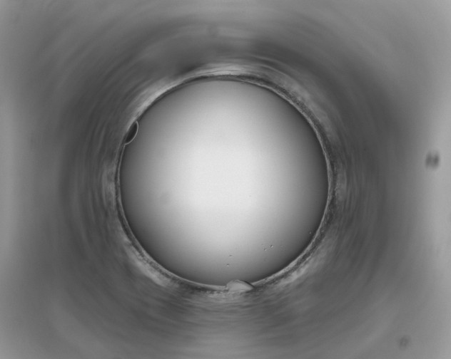 X0000096151417200802011223