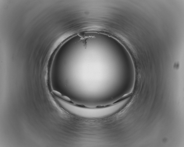 X0000096151418200802011223