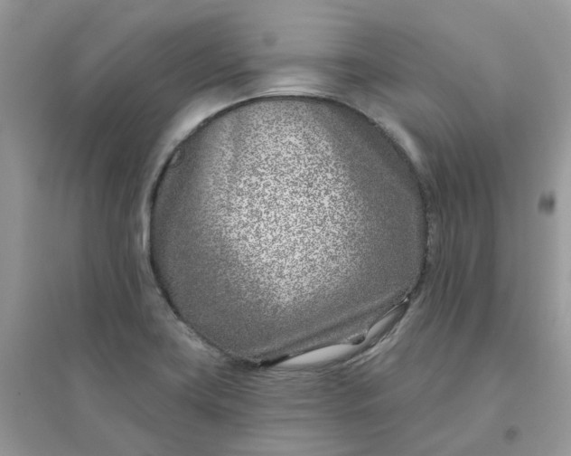 X0000096151419200802011223