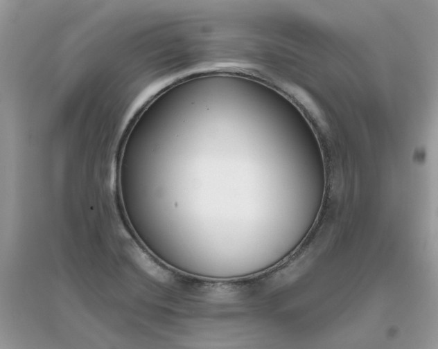 X0000096151420200802011223