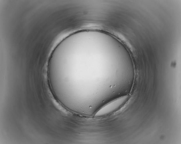 X0000096151421200802011223