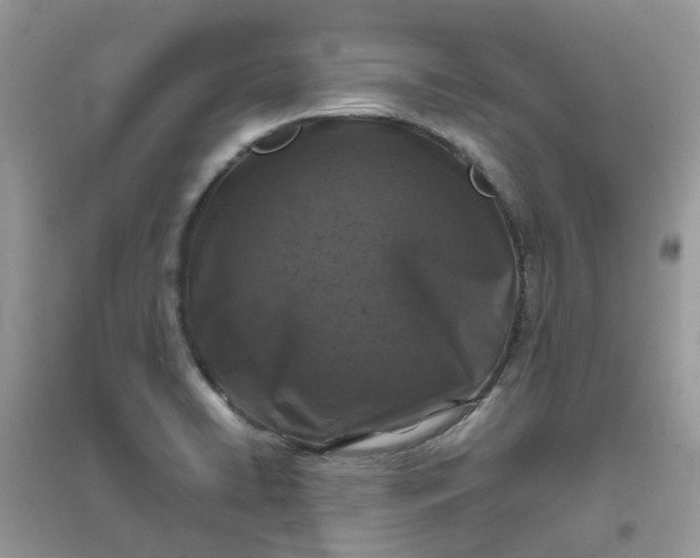 X0000096151422200802011223