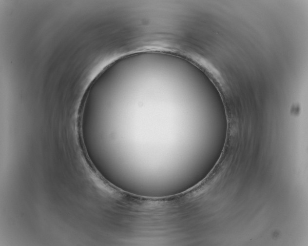 X0000096151423200802011223