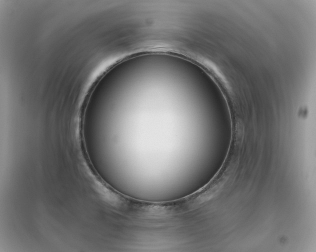 X0000096151424200802011223