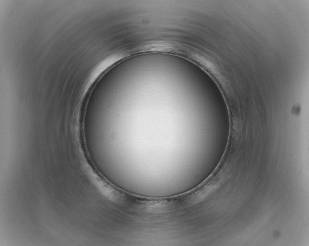X0000096151426200802011223