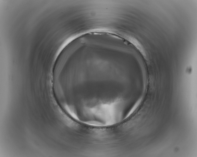 X0000096151428200802011223