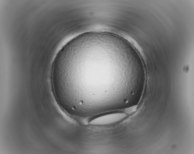 X0000096151429200802011223
