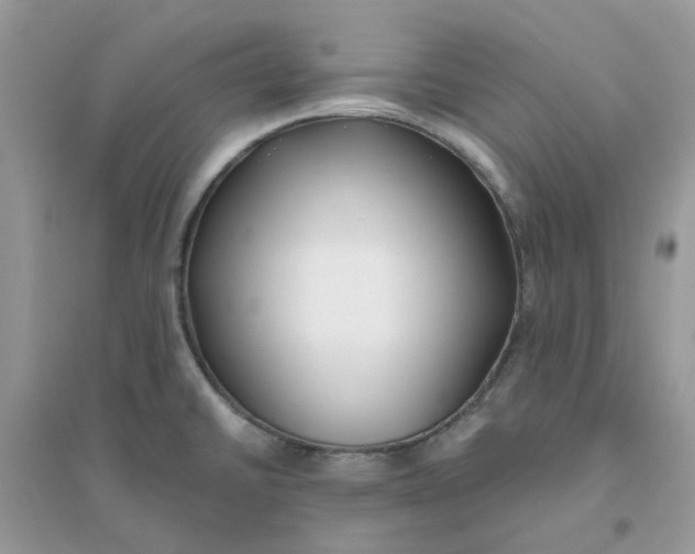 X0000096151430200802011223