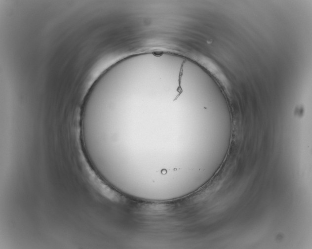 X0000096151431200802011223