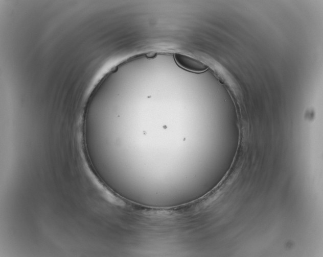 X0000096151432200802011223