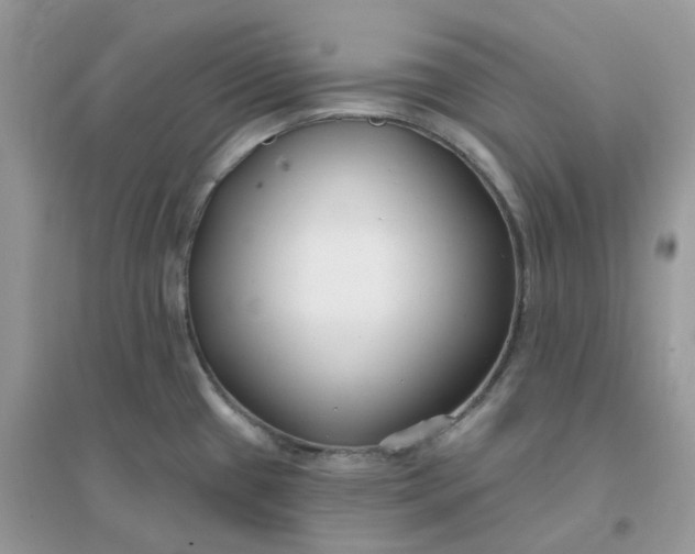 X0000096151433200802011223