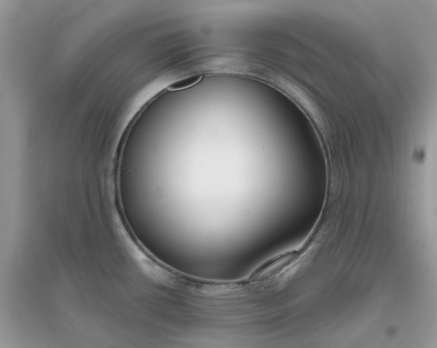 X0000096151434200802011223