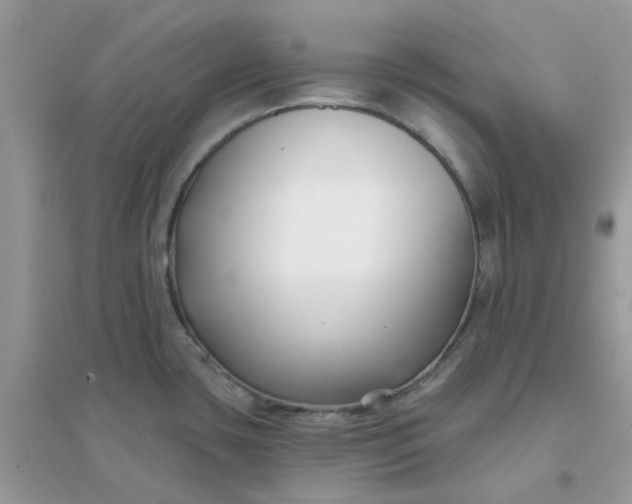 X0000096151435200802011223