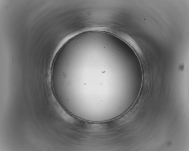 X0000096151436200802011223