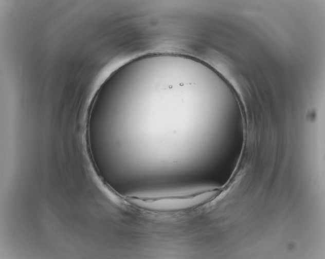 X0000096151437200802011223