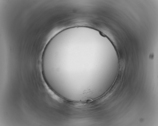 X0000096151439200802011223