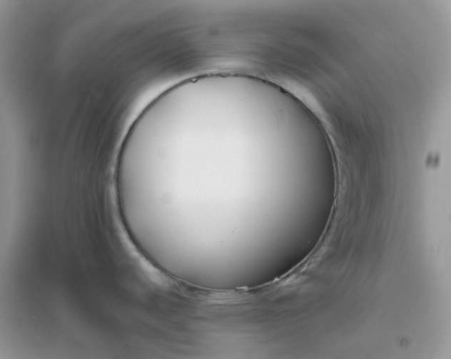 X0000096151440200802011223