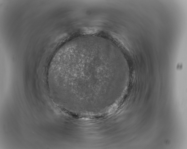 X0000096151441200802011222