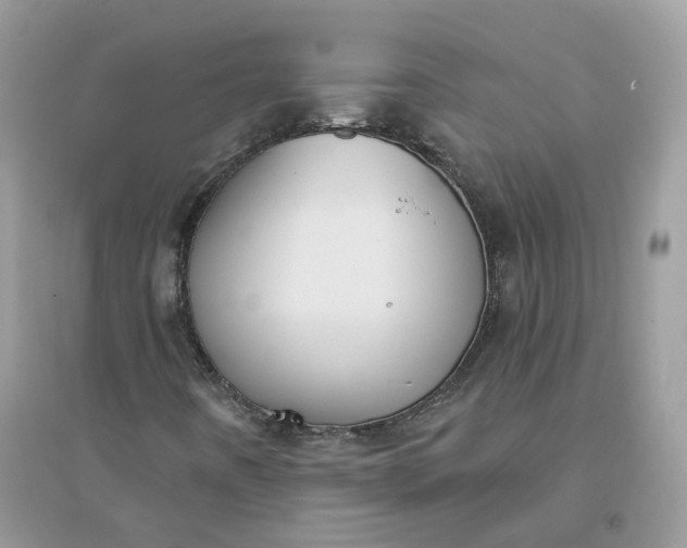 X0000096151442200802011222