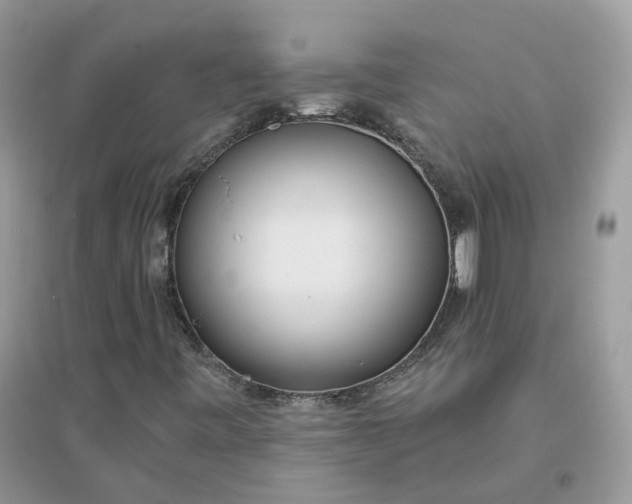 X0000096151443200802011222