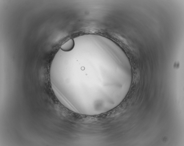 X0000096151446200802011222