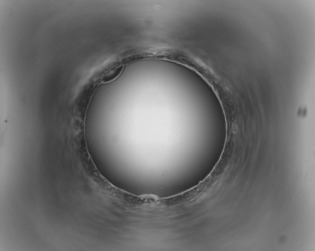 X0000096151447200802011222